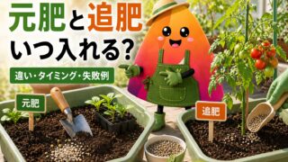 【家庭菜園の肥料はいつ？】初心者向け｜追肥のタイミング・元肥との違い・失敗しないコツ