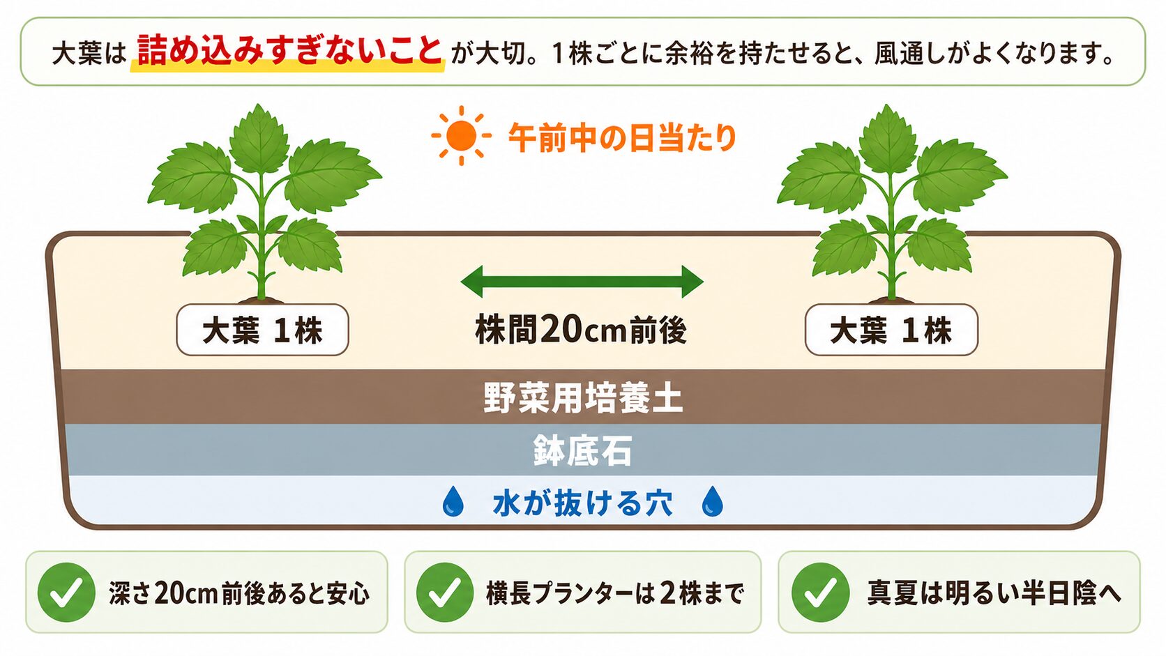 大葉プランターの基本配置図。株間20cm前後、野菜用培養土、鉢底石、水が抜ける穴を示した図
