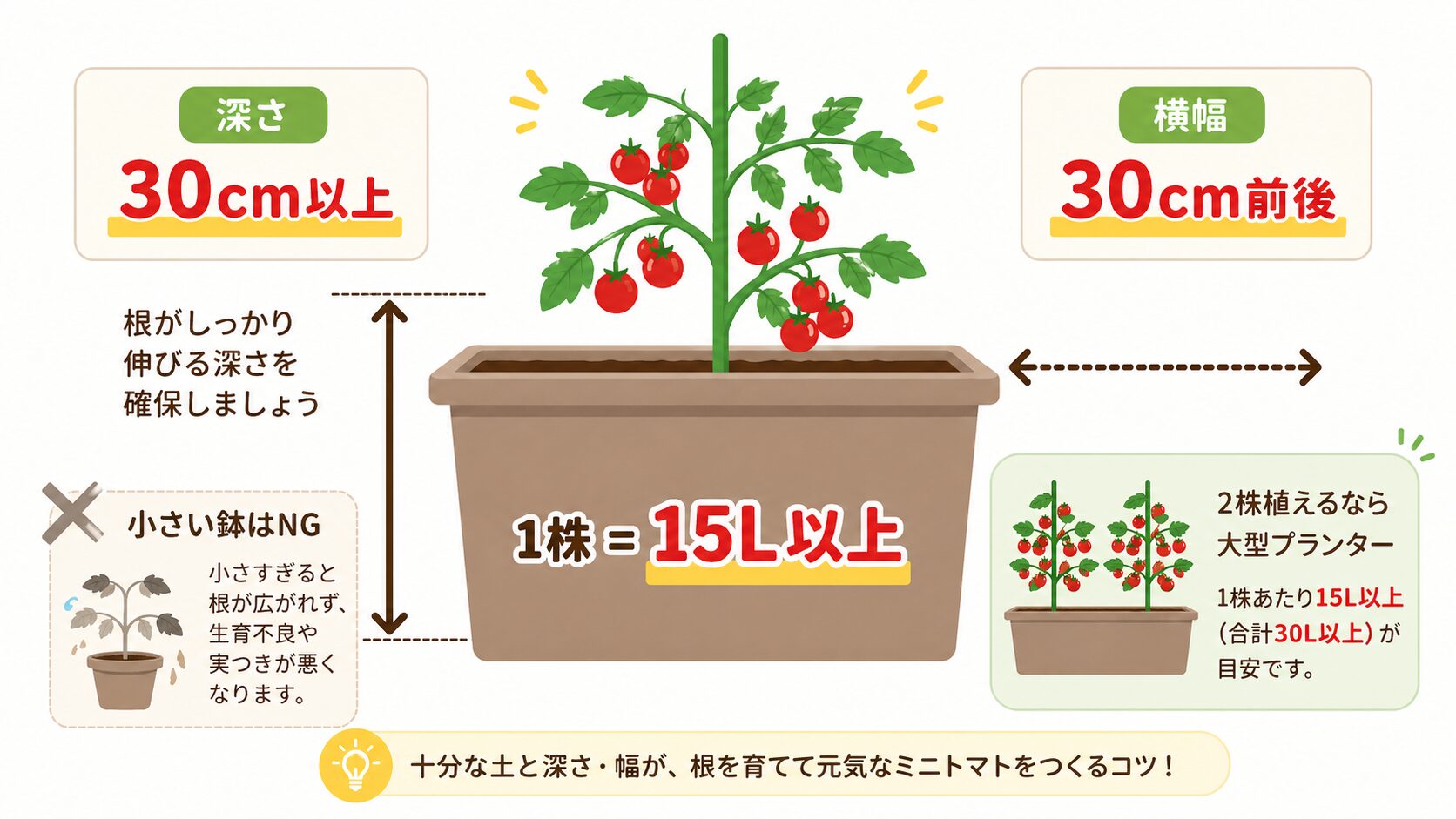 ミニトマトのプランターサイズは1株15L以上、深さ30cm以上、横幅30cm前後が目安