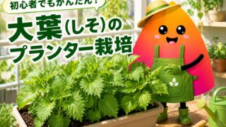 大葉（しそ）のプランター栽培｜初心者でも失敗しない育て方・収穫を長く続けるコツ