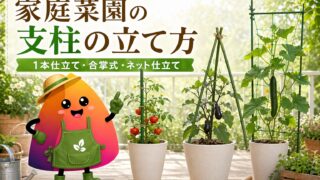 家庭菜園の支柱の立て方｜初心者向けに1本仕立て・合掌式・ネット仕立てを解説