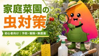 家庭菜園の虫対策完全ガイド｜初心者向けにアブラムシ・コバエ・コナジラミの予防と駆除を解説