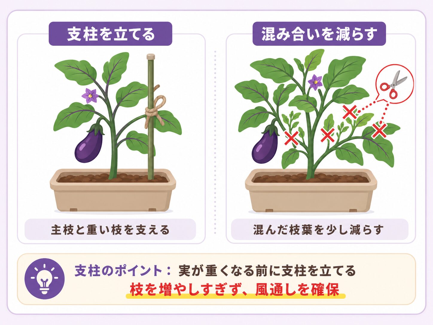 ナスの支柱と整枝の図解。支柱を立てて主枝と重い枝を支え、混み合った枝葉を減らす方法
