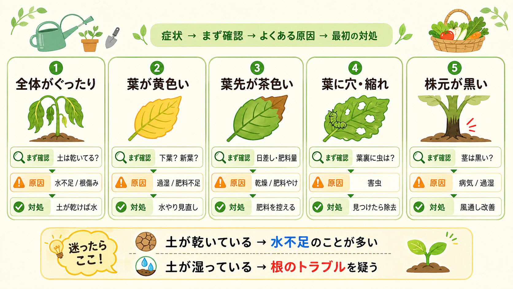 家庭菜園で野菜が枯れる原因を症状別に見分ける早見表