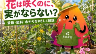 花は咲くのに実がならない原因は？家庭菜園初心者向けに受粉・肥料・水やりを解説