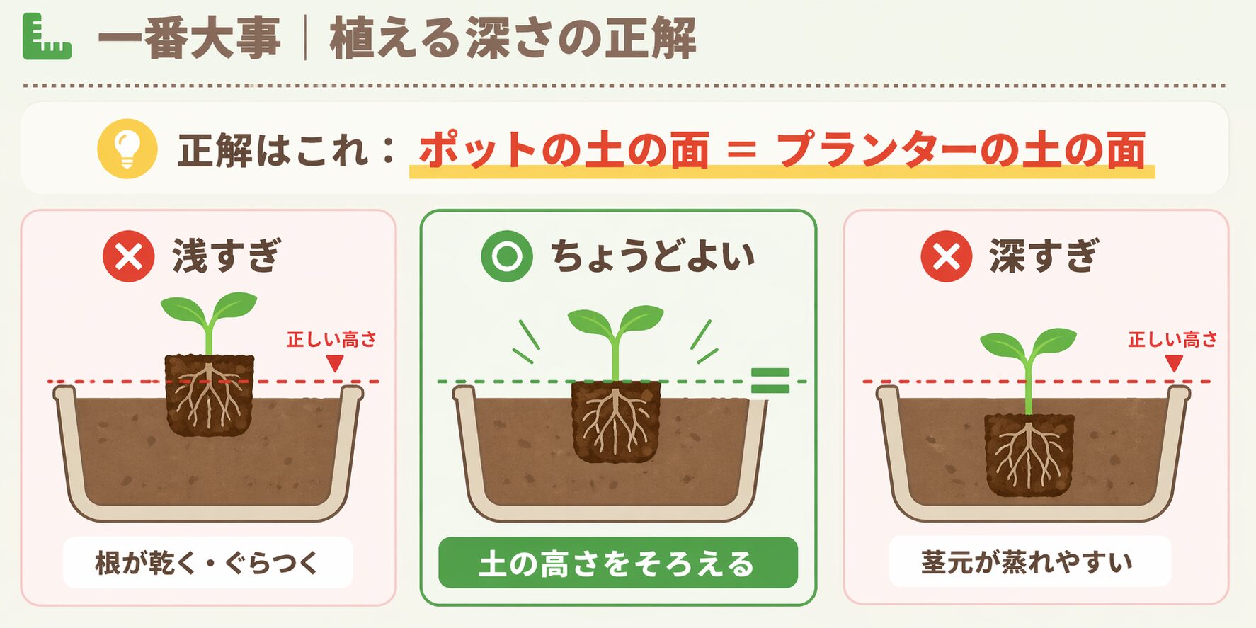 家庭菜園の苗の植え付けで正しい深さを示した図解。浅すぎ、ちょうどよい、深すぎの違いを比較