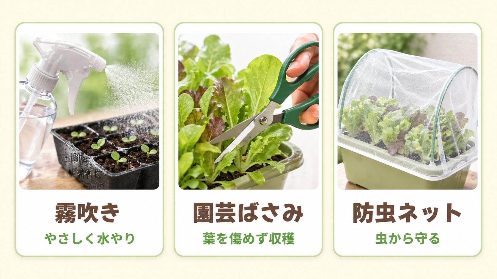 ベビーリーフ栽培にあると便利な霧吹き・園芸ばさみ・防虫ネットを示す図解