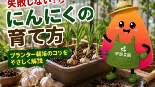 にんにくのプランター栽培｜初心者でも失敗しない植え付け・追肥・収穫・保存のコツ