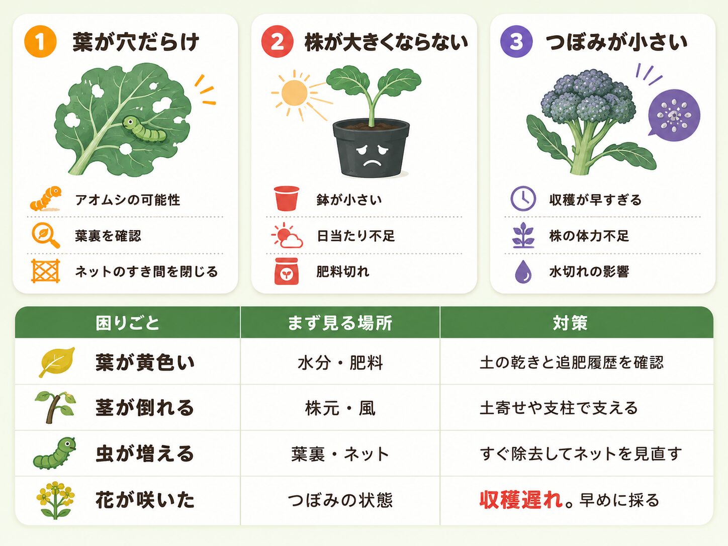 ブロッコリー栽培のよくある失敗と症状別の対策