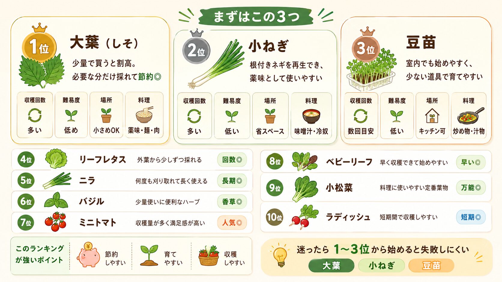 家庭菜園でコスパが高い野菜ランキング10選。大葉、小ねぎ、豆苗を中心に初心者向けのおすすめ野菜を図解。