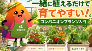 コンパニオンプランツ一覧｜家庭菜園で相性の良い野菜・ハーブ・花の組み合わせ