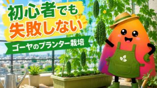 ゴーヤのプランター栽培｜初心者でもベランダで失敗しない育て方・ネット支柱・収穫のコツ