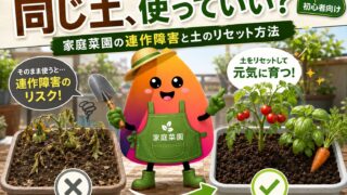 プランターの同じ土、毎年使って大丈夫？家庭菜園の連作障害と土のリセット方法