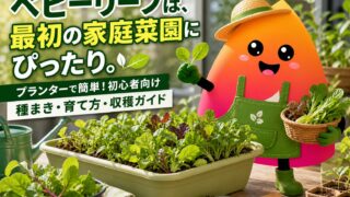ベビーリーフの育て方｜プランターで簡単！初心者向け種まき・水やり・収穫ガイド