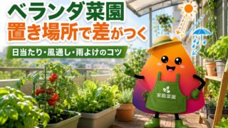 ベランダ菜園の置き場所の正解｜初心者が失敗しない日当たり・風通し・雨よけのコツ