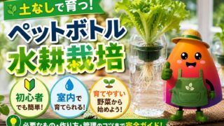 ペットボトル水耕栽培の始め方｜初心者でも室内で育つ野菜・必要なもの・失敗対策を解説