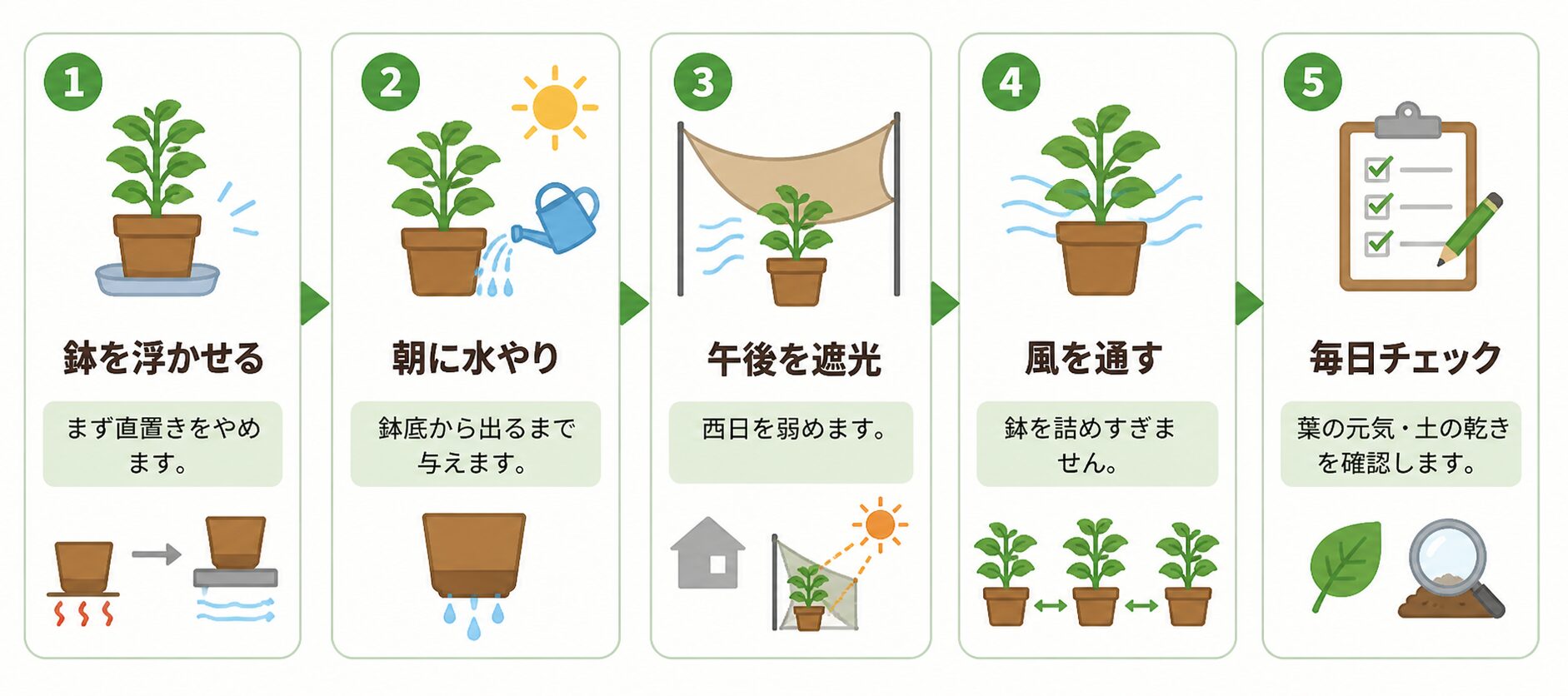 今日からできる夏のプランター暑さ対策5ステップ。鉢を浮かせる、朝に水やり、午後を遮光、風を通す、毎日チェックの流れを説明。