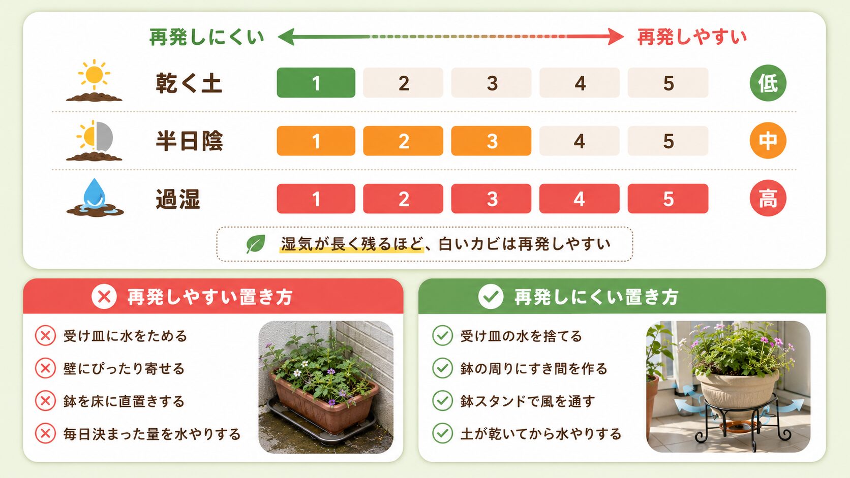 白いカビが再発しやすい環境と再発しにくい置き方