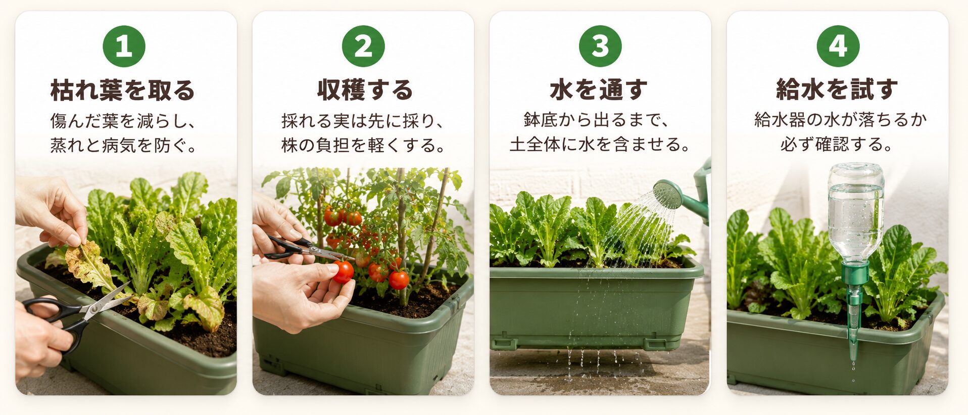旅行前日に行う家庭菜園の準備手順