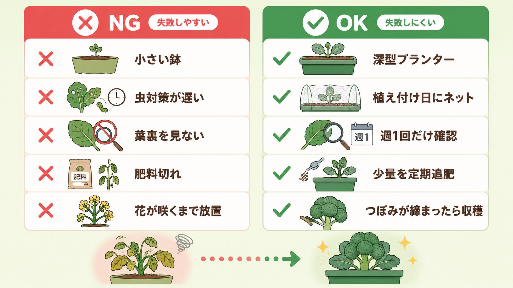 ブロッコリーのプランター栽培で初心者がやりがちな失敗と成功しやすい行動