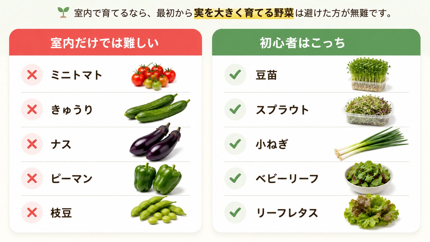 室内だけでは難しい野菜と初心者におすすめの野菜を比較した図解