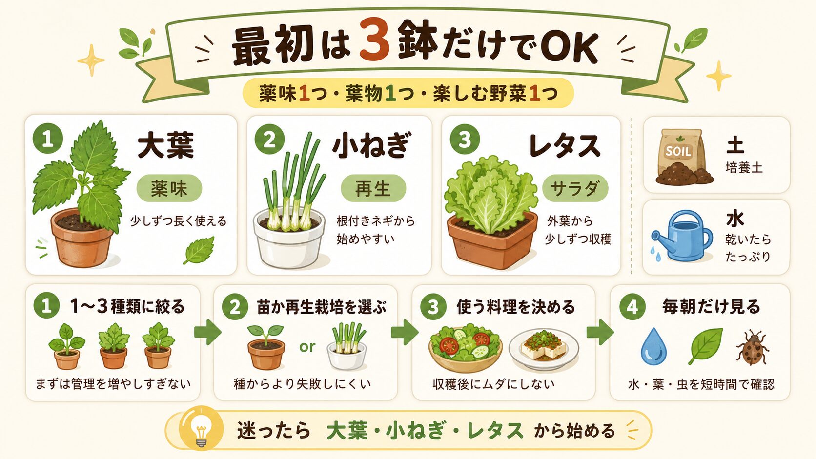 家庭菜園初心者は最初に3鉢だけで始めるのがおすすめ。大葉、小ねぎ、レタス、土、水、4ステップの始め方を図解。