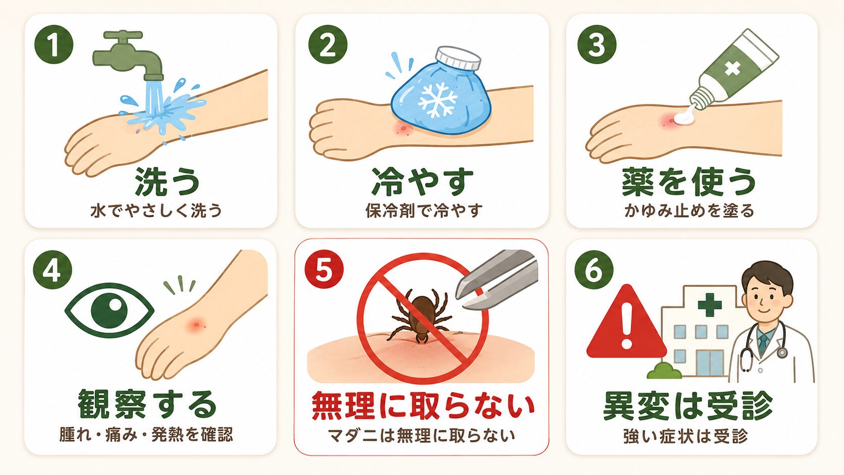 虫に刺された後の基本対応。洗う、冷やす、薬を使う、観察する、マダニは無理に取らない、異変は受診の6項目を示した図