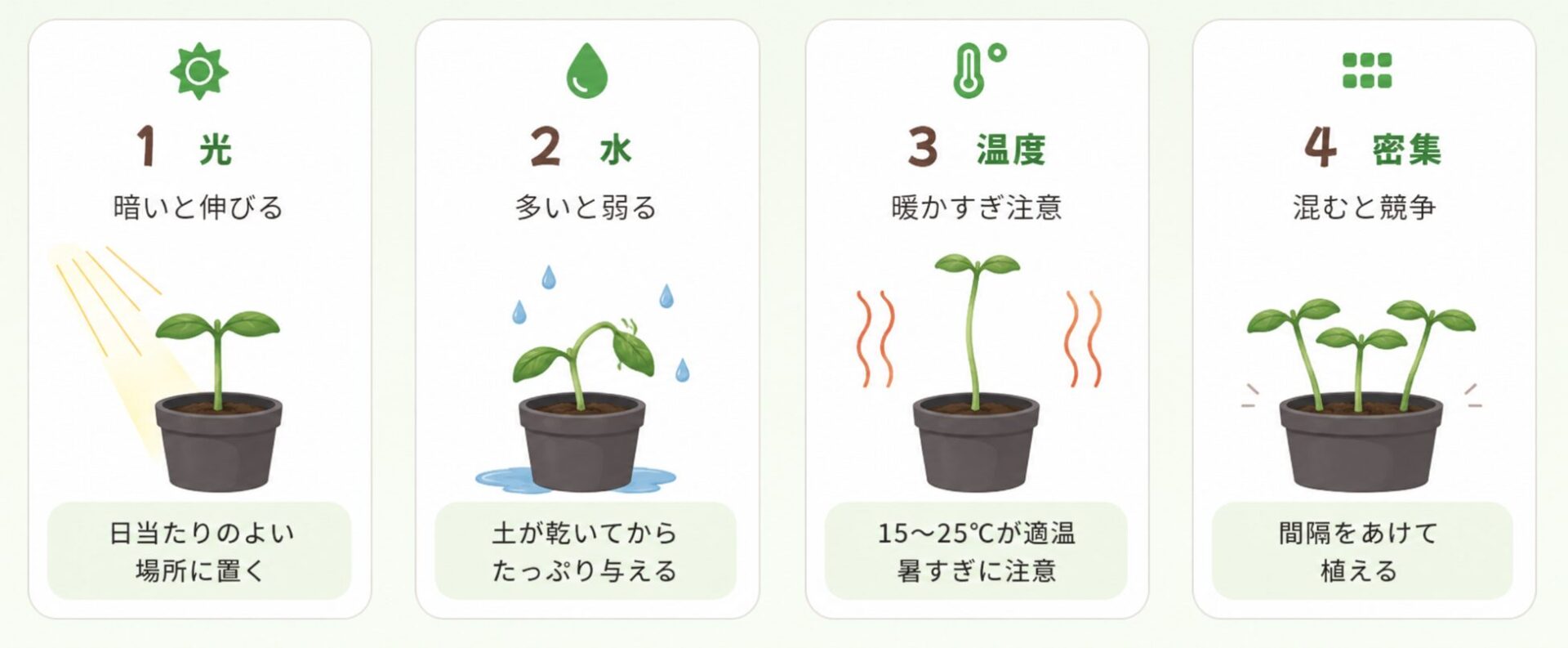 徒長を防ぐための光・水・温度・密集の4つの管理ポイント