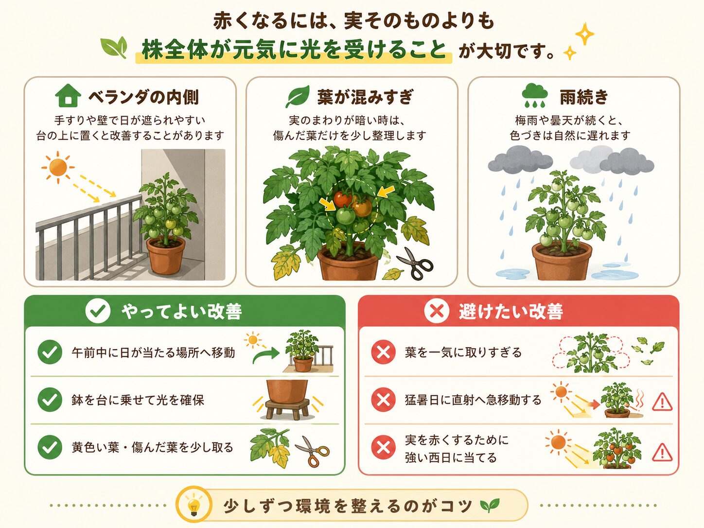 ミニトマトの日当たり不足と改善方法を示した図解