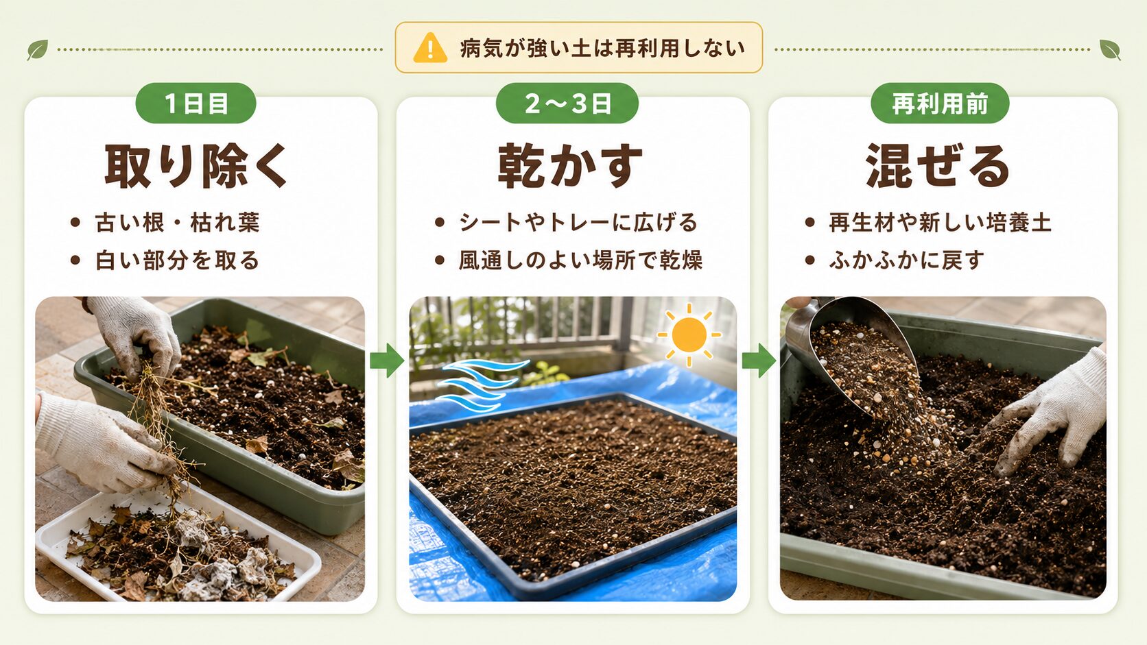 古い土を再生する手順｜取り除く・乾かす・混ぜる