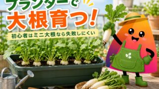 大根はプランターで育つ？初心者向けミニ大根の育て方・深さ・収穫まで解説