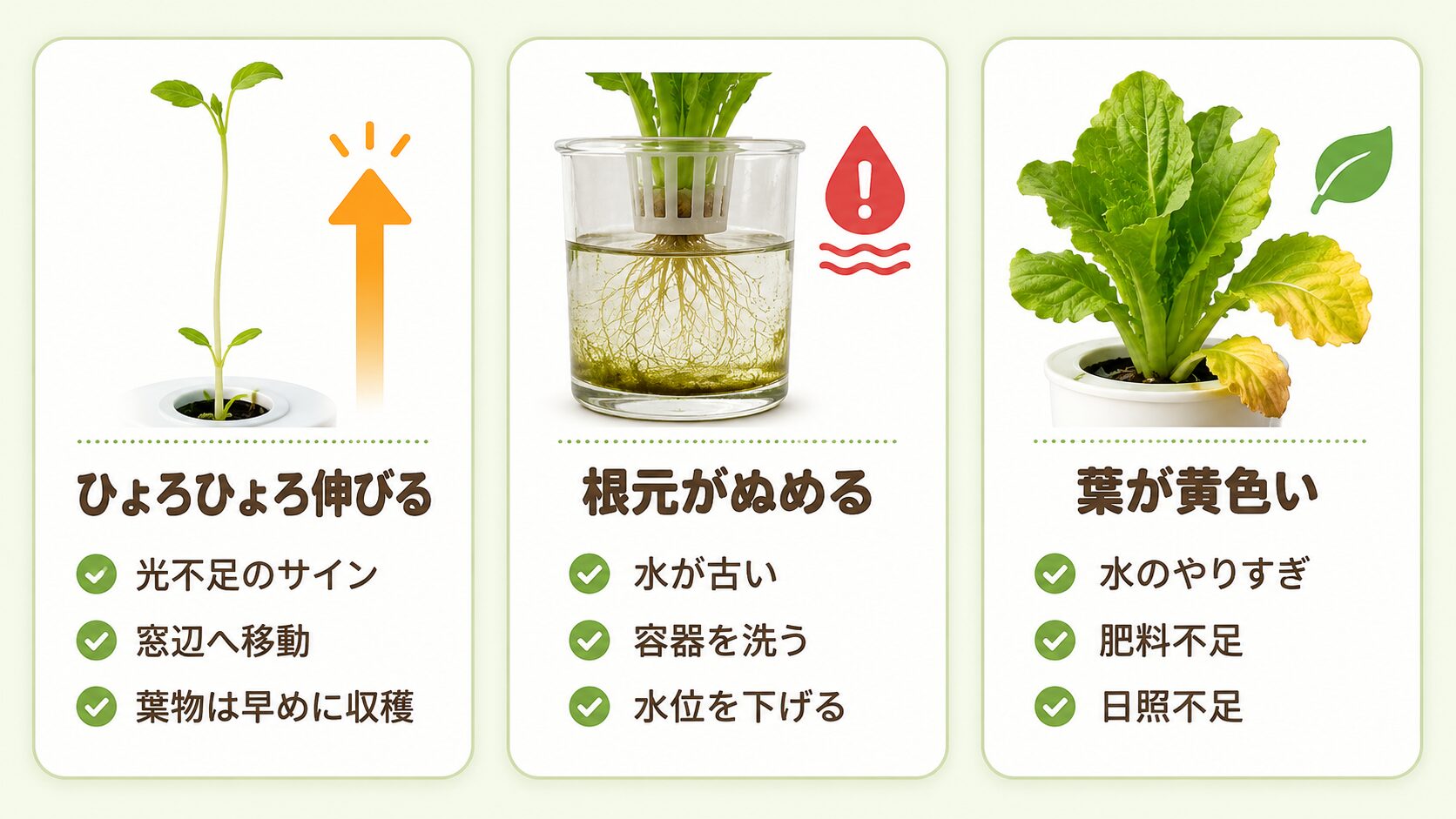 室内菜園のひょろひょろ伸びる・根元がぬめる・葉が黄色い症状と対策を示した図解