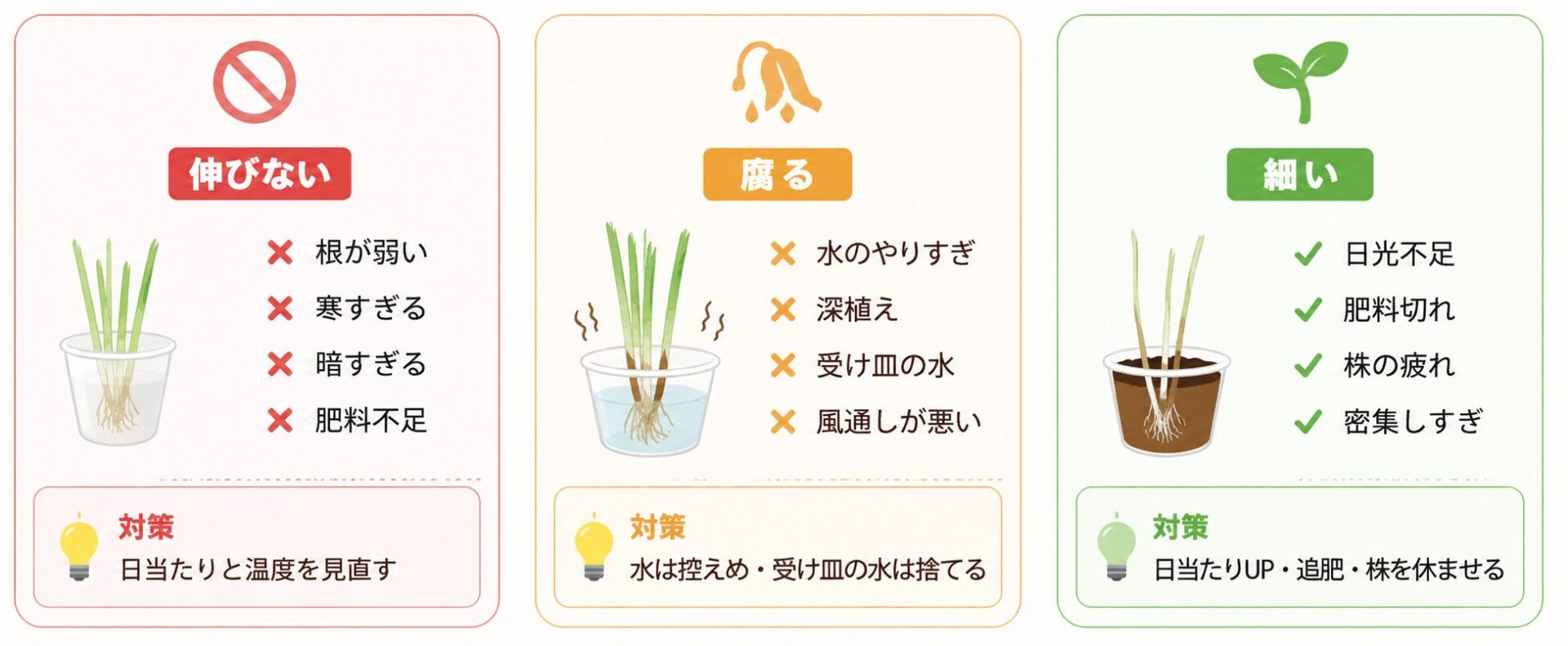 小ねぎ再生栽培で伸びない、腐る、細い原因と対策を示した図解
