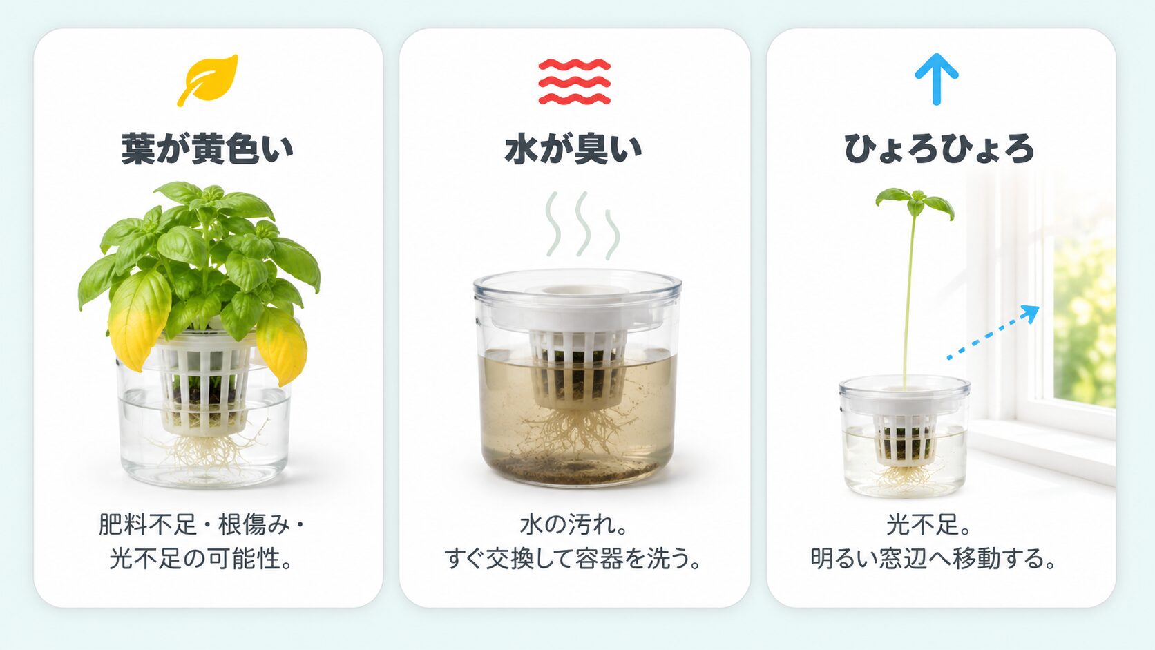 ペットボトル水耕栽培で起こりやすい葉の黄ばみ、水の臭い、徒長の原因と対策の図解