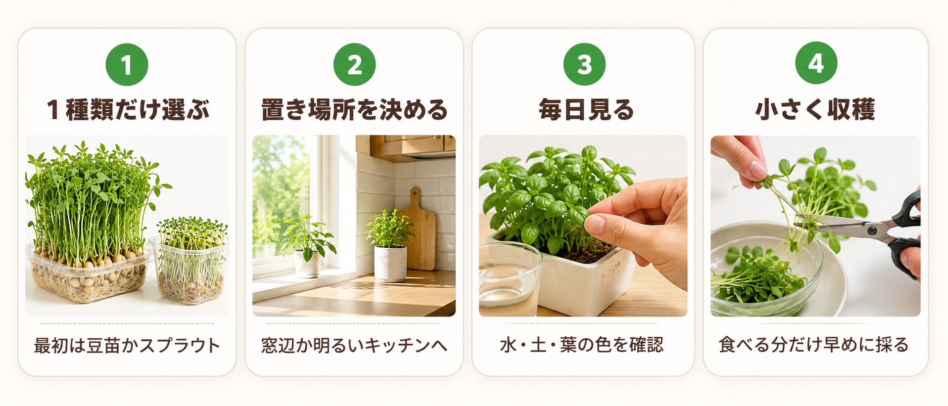 室内菜園の始め方を1種類だけ選ぶ・置き場所を決める・毎日見る・小さく収穫の4ステップで示した図解