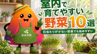 室内で育てられる野菜おすすめ10選｜日当たりが少ない部屋でもできる初心者向け家庭菜園