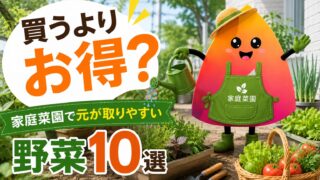 家庭菜園でコスパ最強の野菜10選｜初心者でもプランターで食費節約しやすいおすすめ野菜
