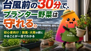 家庭菜園の台風対策｜プランター野菜を強風・大雨から守る方法【初心者向け】