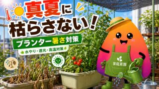 家庭菜園の暑さ対策｜夏のプランター野菜を枯らさない水やり・遮光・置き場所のコツ