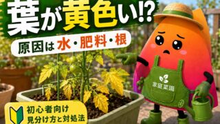 家庭菜園の葉が黄色くなる原因は？水やり・肥料不足・根腐れの見分け方