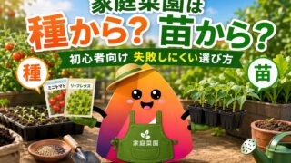 家庭菜園は種から？苗から？初心者が失敗しにくい選び方を野菜別に解説