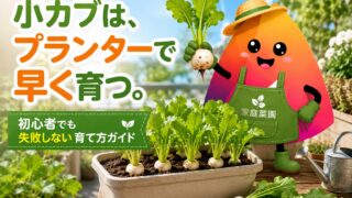 小カブのプランター栽培｜初心者でも失敗しない種まき・間引き・収穫のコツ