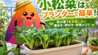小松菜のプランター栽培完全ガイド｜初心者でも失敗しない種まき・間引き・収穫のコツ