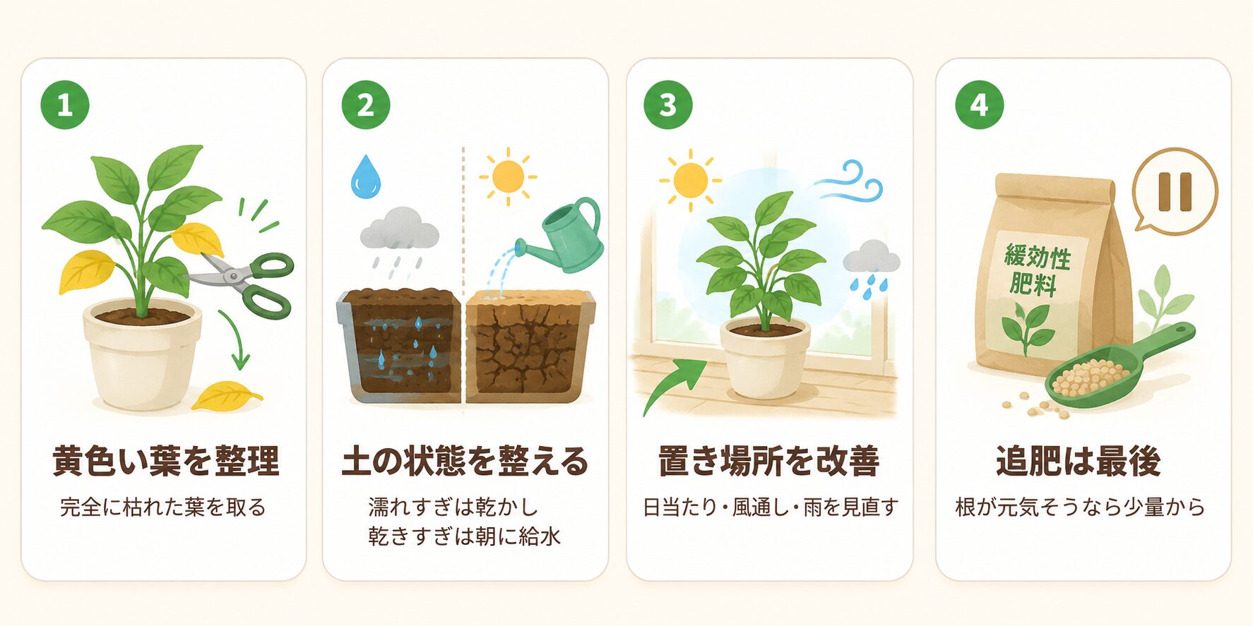 黄色い葉を整理し土の状態と置き場所を整えてから追肥する手順の図解