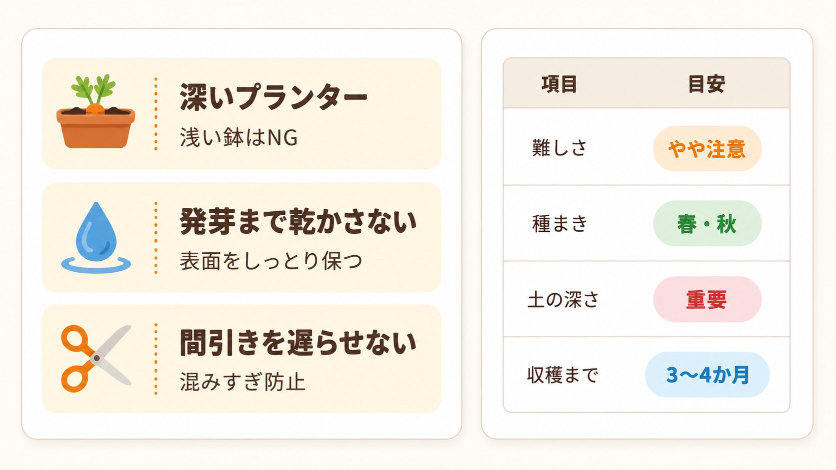 にんじんのプランター栽培で大切な3つの成功ルール