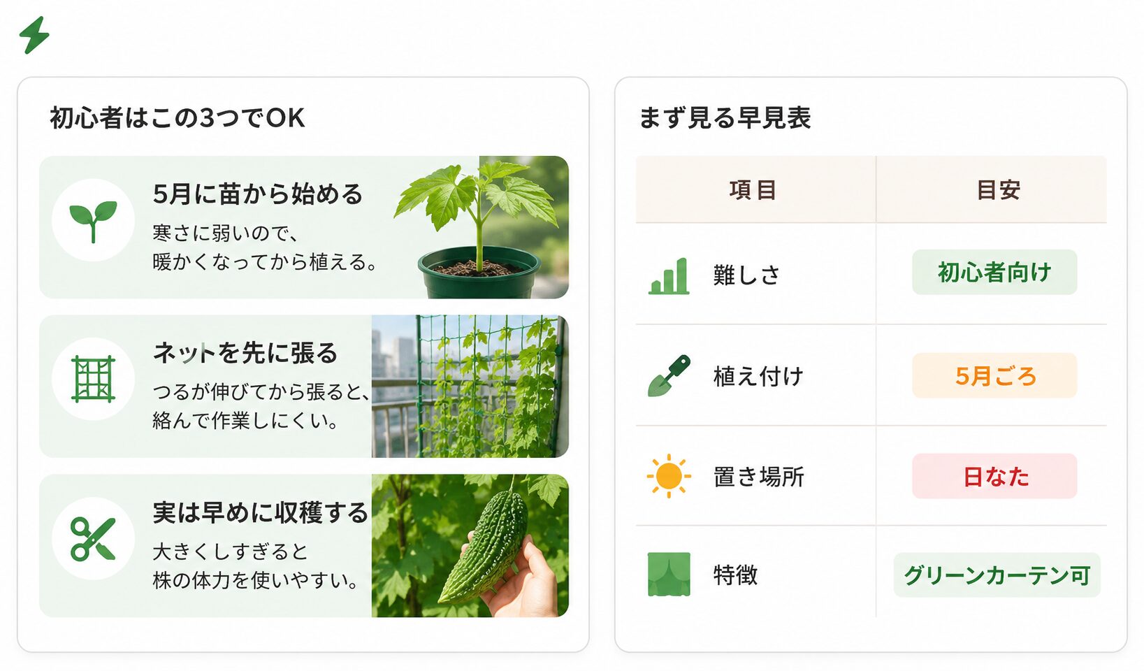 ゴーヤ栽培の成功ルールを苗から始める・ネットを先に張る・早めに収穫するの3点で示した図解