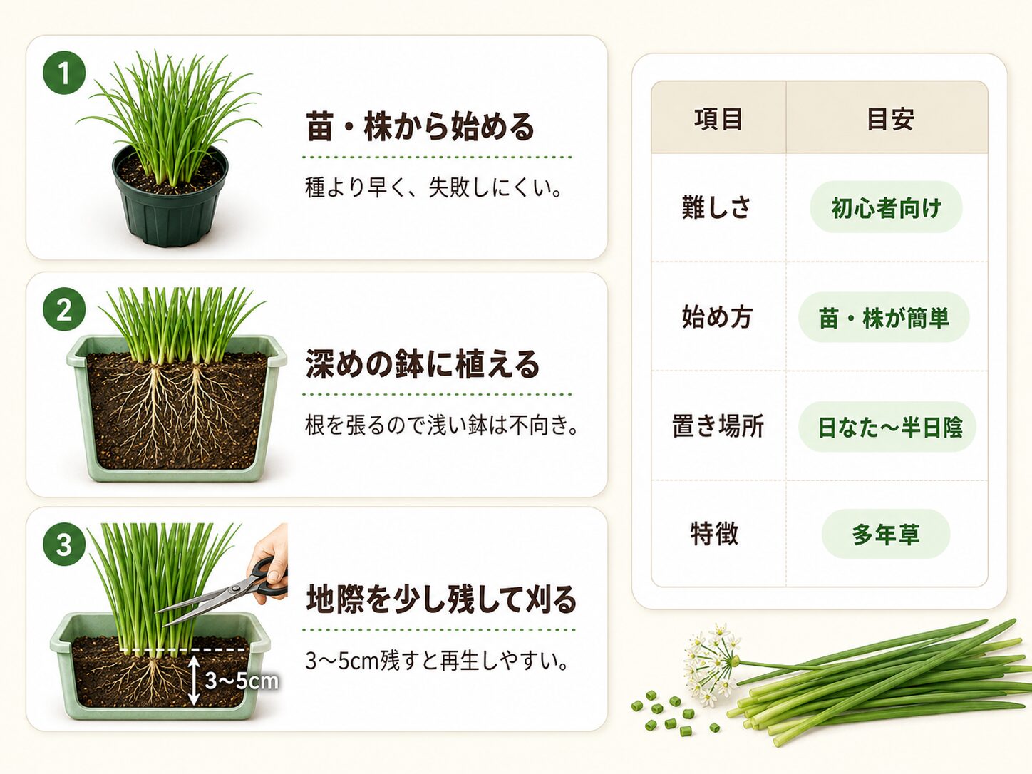 ニラ栽培の成功ルールを一目で示す図解