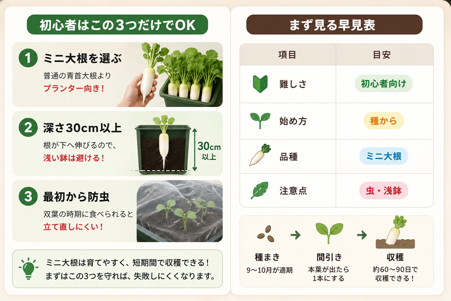 ミニ大根のプランター栽培で初心者が守るべき3つの成功ルール