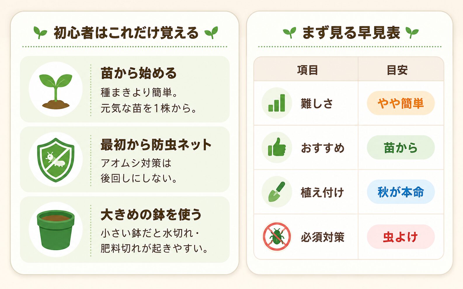 ブロッコリーのプランター栽培で初心者が覚える成功ルールと早見表