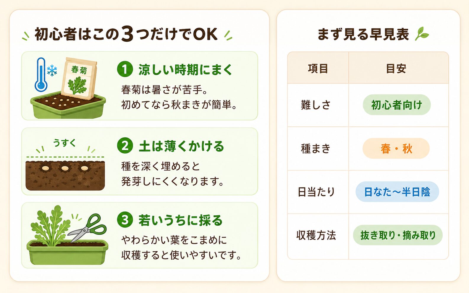 春菊のプランター栽培で初心者が押さえるべき3つの成功ルール